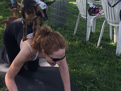 Catherine Thimmesh goat yoga